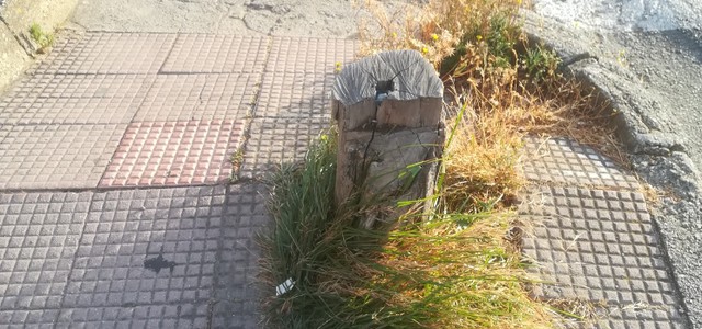 Mirarchi: "Ennesimo pastrocchio di Verdidea"