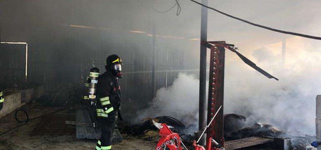 In fiamme stalla e fienile, animali messi in salvo dai Vigili del Fuoco