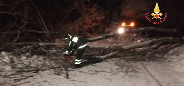 Sila Piccola, a Villaggio Racise la caduta di due alberi trancia fili enel. Strada chiusa.
