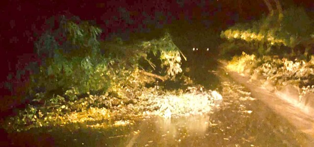 Maltempo, frana ed albero caduto bloccano auto nella notte