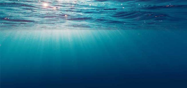 Giornata mondiale degli oceani 2020: “Innovazione per un oceano sostenibile” (VIDEO)