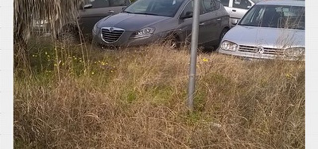 AlPoCat denuncia ancora lo stato di abbandono di piazza Martiri delle Foibe