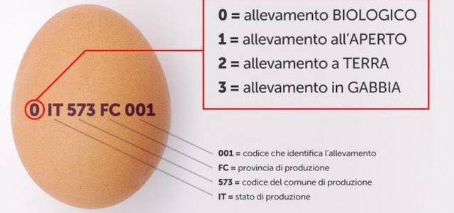 Uova al Fipronil, Coldiretti Calabria: origine obbligatoria su tutti i prodotti agricoli e il cibo