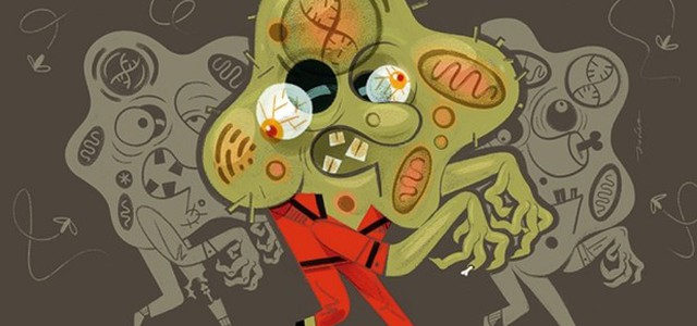 Le cellule 'zombie' nel mirino dei farmaci anti-invecchiamento