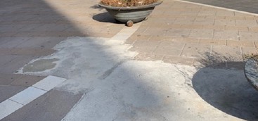 Catanzaro, Veraldi: "Ai Giardini di San Leonardo continua l’incuria" (FOTO)