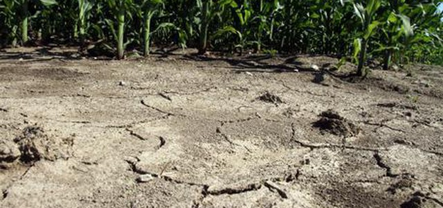 Manca l'acqua, stato di emergenza a Parma e Piacenza