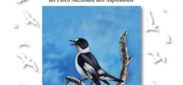 66 specie censite nel nuovo volume pubblicato dal Parco Nazionale dell'Aspromonte "Gli Uccelli"