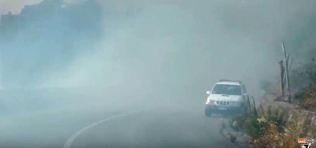 Tiriolo brucia, il sindaco: ferma condanna nei confronti dell'imbecille autore del vasto incendio