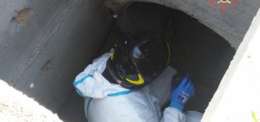 Salvati nove cuccioli partoriti in un canale