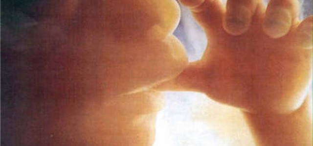 La Calabria è poco amica delle mamme