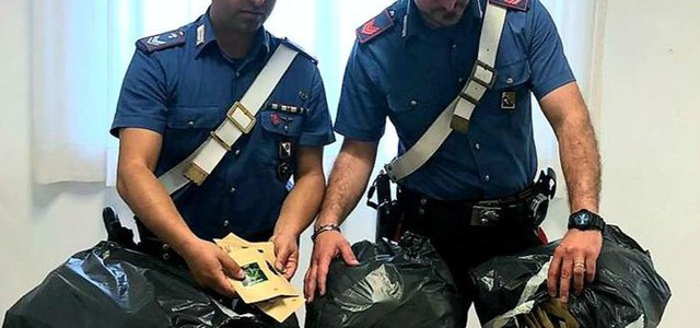 Sequestrate 600 confezioni di cannabis light nel Catanzarese