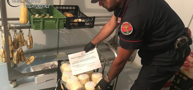 Sequestrati 60 kg di prodotti caseari, una denuncia