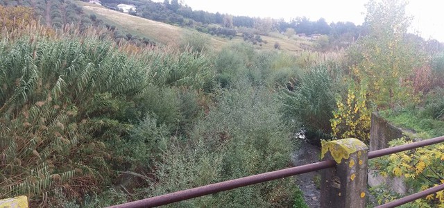 Fiumarella, Riccio: "Regione scongiuri rischio per la pubblica incolumità"