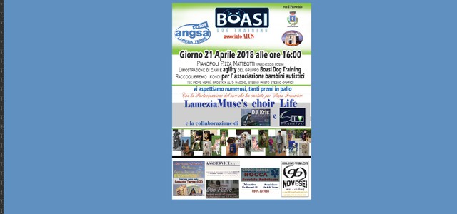 Evento benefico a Pianopoli