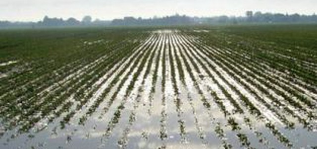 Agricoltura: Antezza-Oliverio, risoluzione per sostenere aziende colpite da maltempo