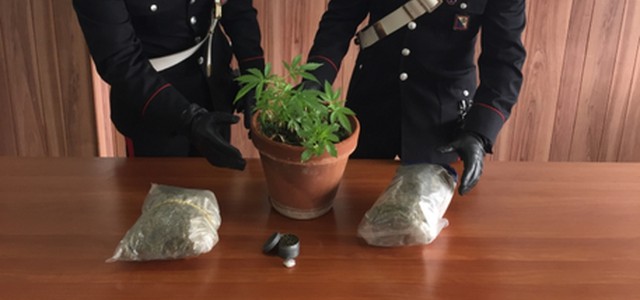 Trovati con 400 grammi di marijuana, arrestati