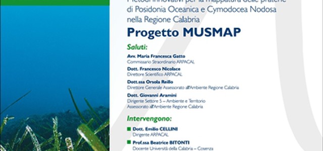La Calabria si dota di una legge per la tutela delle praterie di Posidonia oceanica