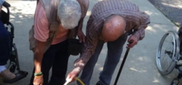 Orto-Terapia, attività riabilitativa più amata all' R.S.A. Padre Giuseppe Moscati (Fotogallery)