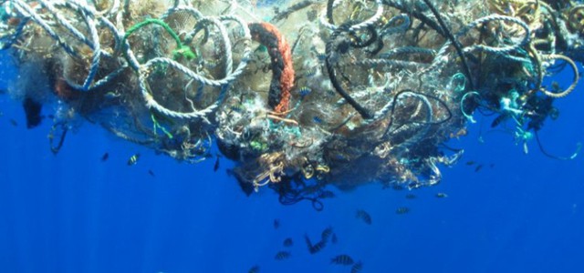 Legambiente e Codacons: Rinunciare alla plastica per salvare la bellezza del nostro mare.