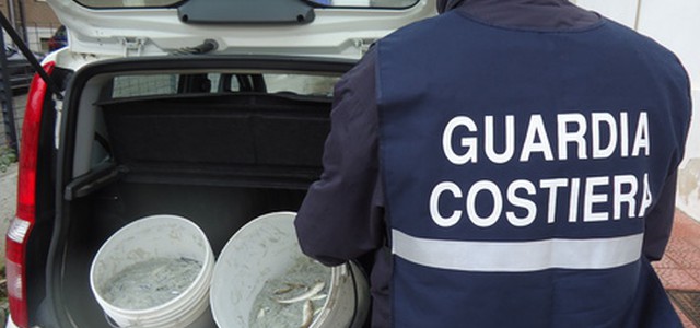 Sequestrati 800 kg di prodotti ittici