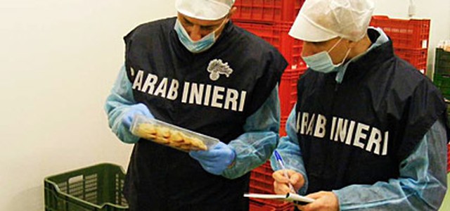 Controlli a Cirò Marina in grande azienda: trovati lavoratori in nero ed irregolarità sanitarie