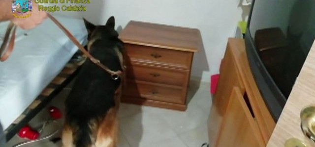Operazione "Fiumi d'oro": scoperto bunker con droga, armi e soldi sporchi