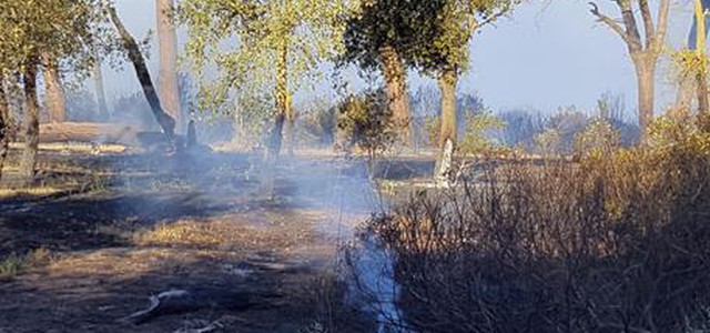 Incendi: Curcio, 2017 record interventi ultimi 10 anni