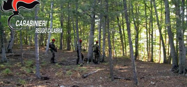 Scoperta "santabarbara" e fucile nella Locride