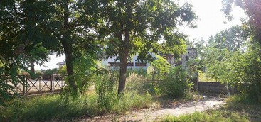 Comitato Apollinara: “Urge pulizia area scuole” 