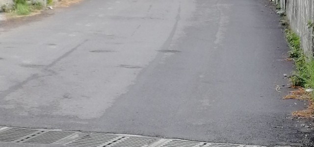 Mauro-Giglio: "Fetore in via Lenza, si intervenga"