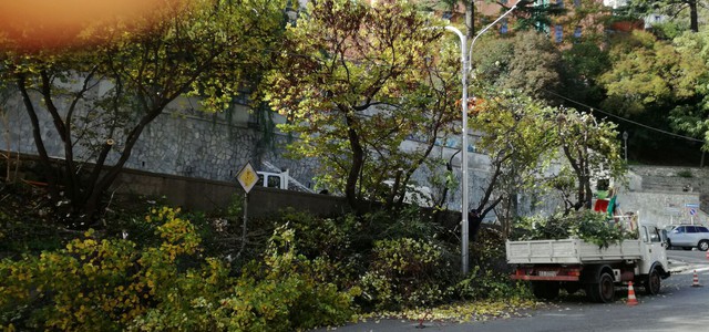 Avviati i lavori di sfalcio e potatura del verde di via Nuova Bellavista
