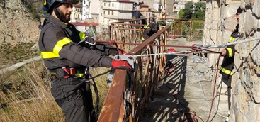 Cuccioli precipitati in un burrone, salvataggio dei vigili