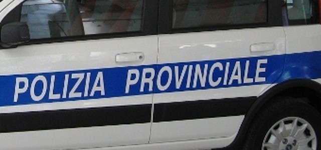 Maltempo: numerosi interventi polizia provinciale