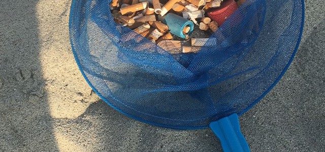 Codacons: “Il nostro mare non vale una cicca”, al via iniziativa per educare e ripulire le spiagge 