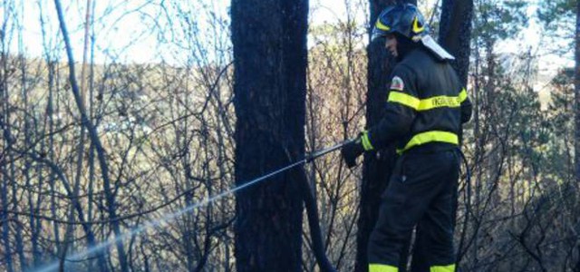 Conapo: "Campagna lotta incendi boschivi, Calabria latitante"