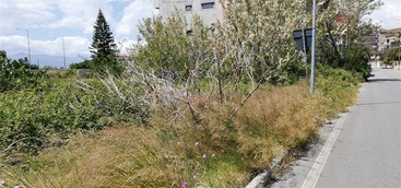 Crea: "Impianto residenziale con pavimentazione a mosaico rischia di non essere più recuperabile a Lazzaro" (FOTO e VIDEO)