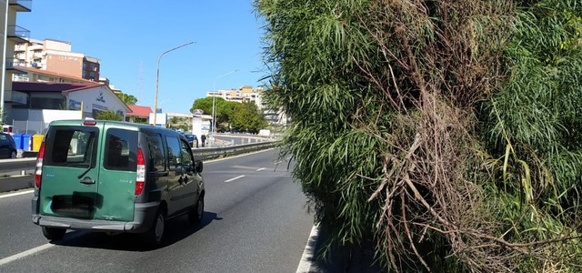 Catanzaro, Veraldi: "Palese stato di abbandono in alcune aree della città"
