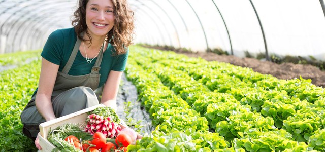 Coldiretti - Domani all’ex “caffè letterario” di Cosenza apre il mercato coperto degli agricoltori di Campagna Amica