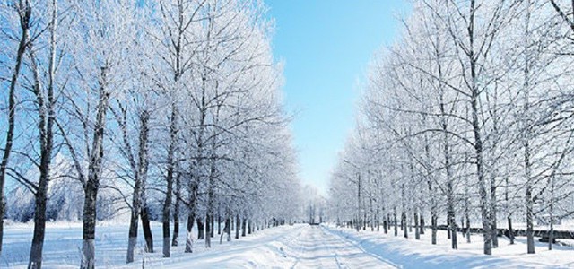 Oggi inizia l'Inverno Metereologico