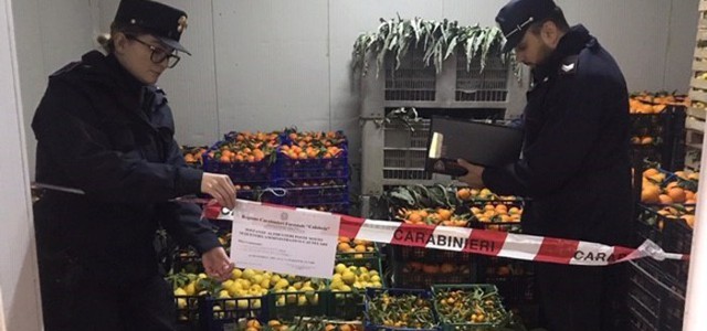 Sequestrate 4 tonnellate di ortaggi non tracciabili