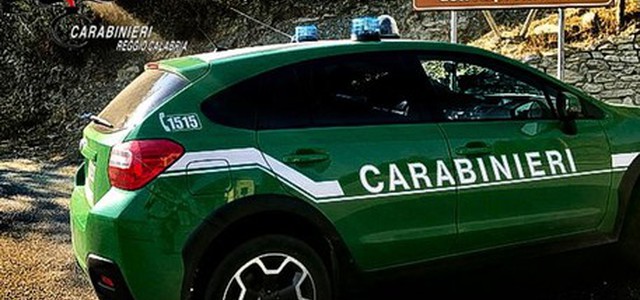 Caccia: Cc forestali denunciano otto persone