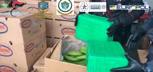 Cocaina nascosta tra le banane, sequestro record al porto di Gioia Tauro