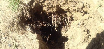 Codacons: "Voragine in via Mario Greco, in ospedale una donna"