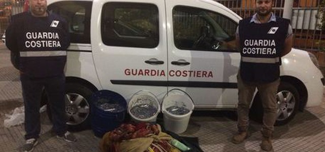 Trovato con 73 kg di bianchetto, multato pescatore nel Catanzarese