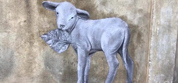 Street art - Gli agnellini parlano dai muri di Lamezia Terme