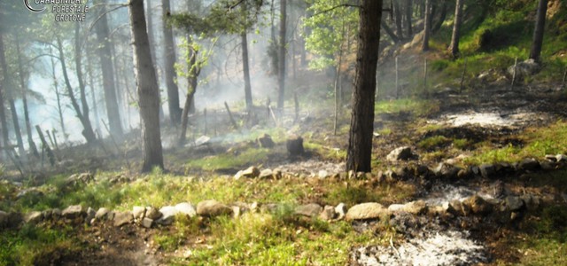 BRUCIANDO RESIDUI VEGETALI PROVOCA UN INCENDIO BOSCHIVO