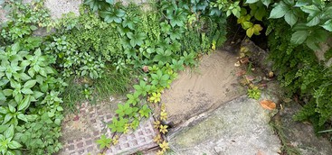 Catanzaro, Veraldi: "Riparata dopo mesi la fogna a cielo aperto in via Cilea" (FOTO)