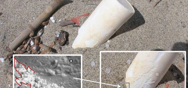 Microplastiche, sino a 2.000 tonnellate su spiagge italiane