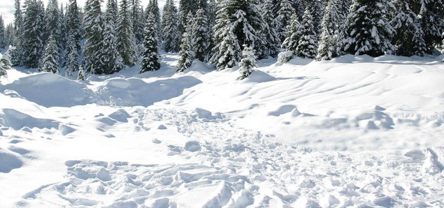 NEVE ANCHE A SARACENA, RIAPERTURA SCUOLE, CENTRO E NOVACCO PER VENERDÌ 13 