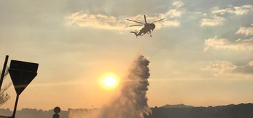 Incendio a Catanzaro, fiamme minacciano anche il Parco della Biodiversità: (VIDEO)